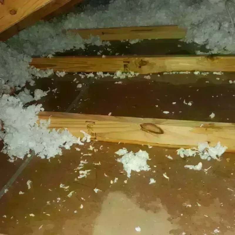 Attic Water Damage in North Olmsted, OH