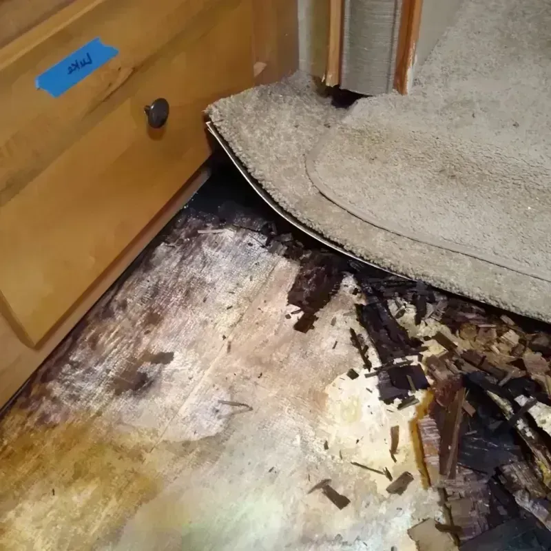 Wood Floor Water Damage in North Olmsted, OH